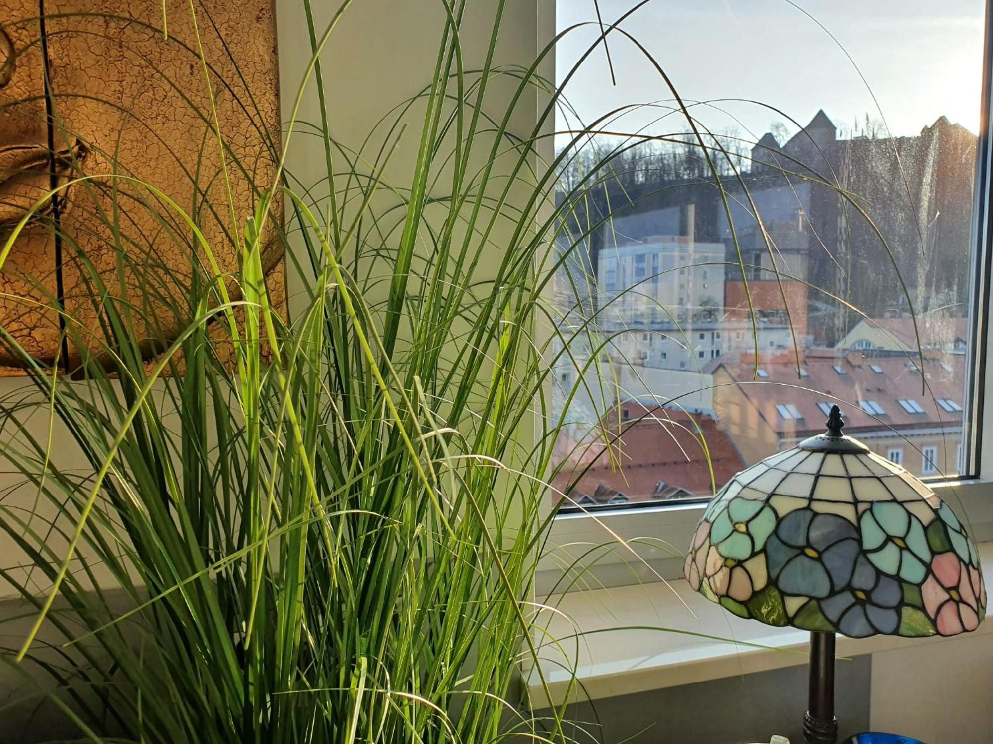 Riverside Loft - Castle View & Free Parking & Terrace Appartamento *